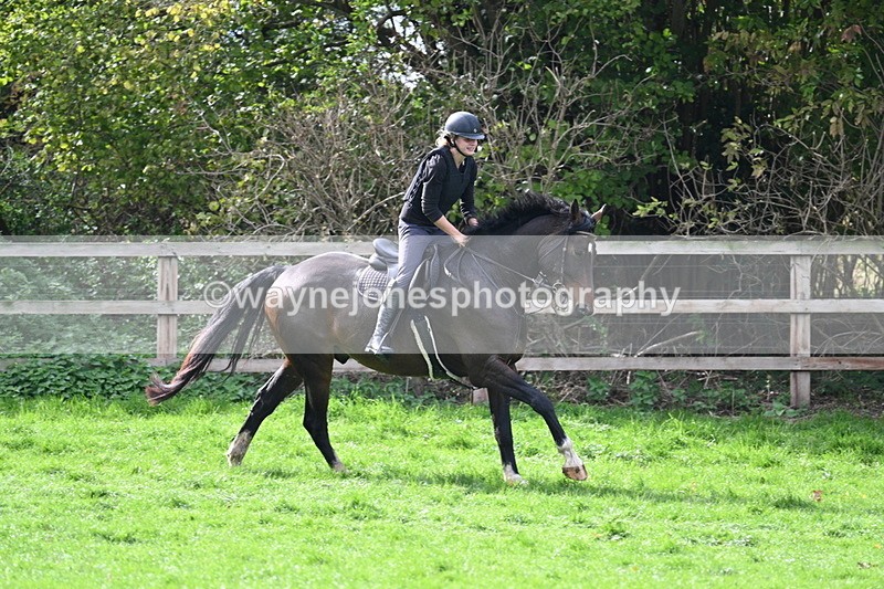 WJ7_9845 - Time 13:13 to 13:55