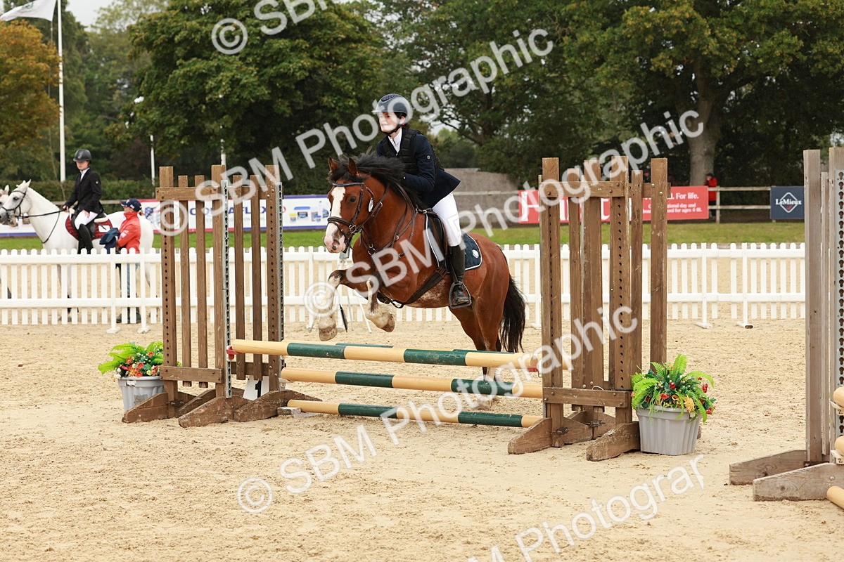 SBM_69189 - J13 - Junior Pony 60cm Championship