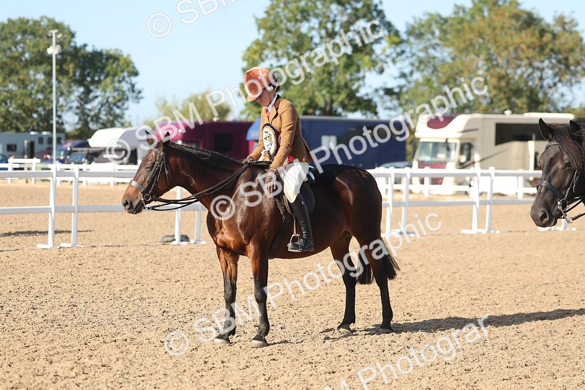 SBM_22146 - Class 801 - Ridden Veterans