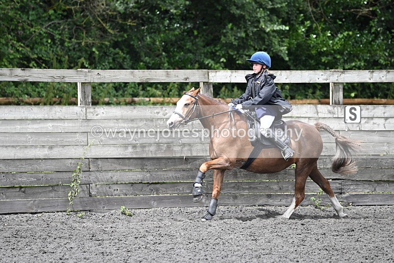 WJ6_0375 - Class 13 Novice 60cm