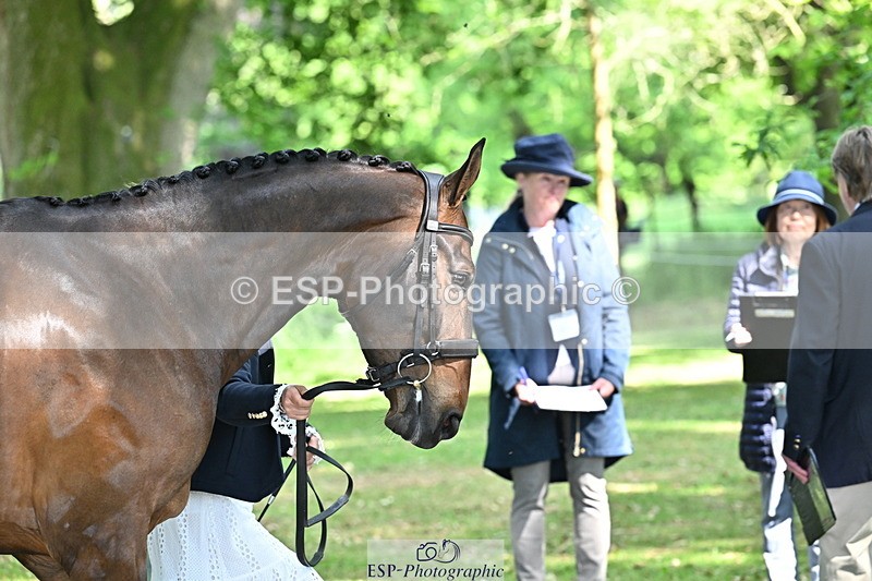 250521A-160045-00863 - C-279-Kitty.King-DASSETT.FLIGHT.PATH