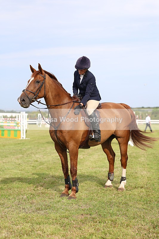 3E7A0878 - Class C: Showjumping Senior Foxhunter