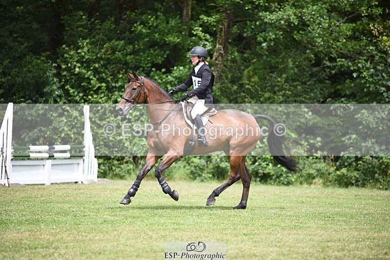 240630-115034-00518 - 915-Amanda_Wreford-Brown-Midsummer_Dazzle