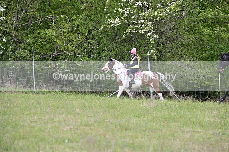 WJ6_1905 - Group 8 A&B Cameras