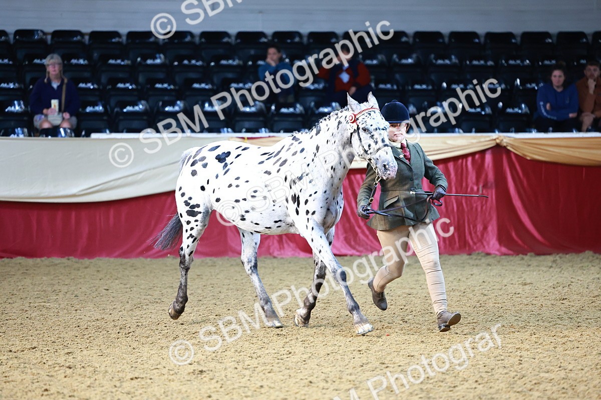 SBM_21784 - Class 901 - Supreme Final - IH  Diamond