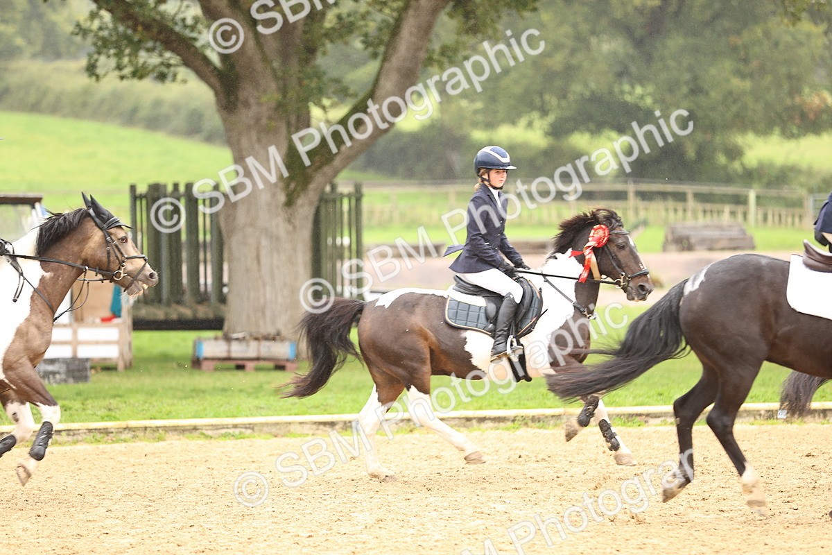SBM_70116 - Supreme Championship 80cm 85cm