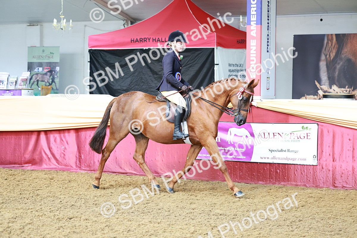 SBM_12014 - Class 102 - Equitation (Best Rider) Adult