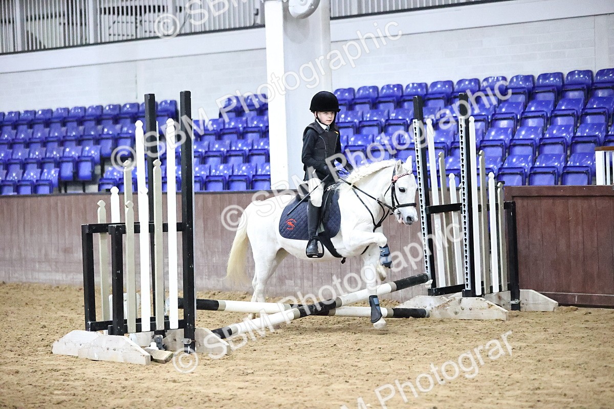 SBM_000062 - Class 1 - Fox Farriers 30cm