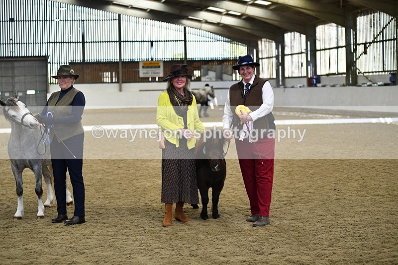 WJ5_5544 - Class 8 In hand cob