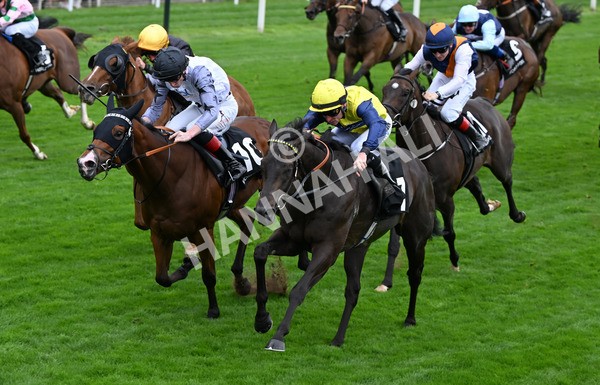 200825-014 Trefor - Race 1 1.50pm Hong Kong Jockey Club World Pool Handicap