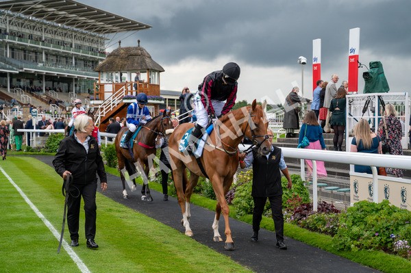 150624-C-Macmillan Ride Of Their Lives-4076 - 12.30pm Macmillan Ride of Their Lives