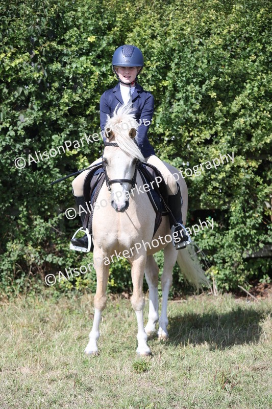 20250831-2524 - Class 16 - Family Pony