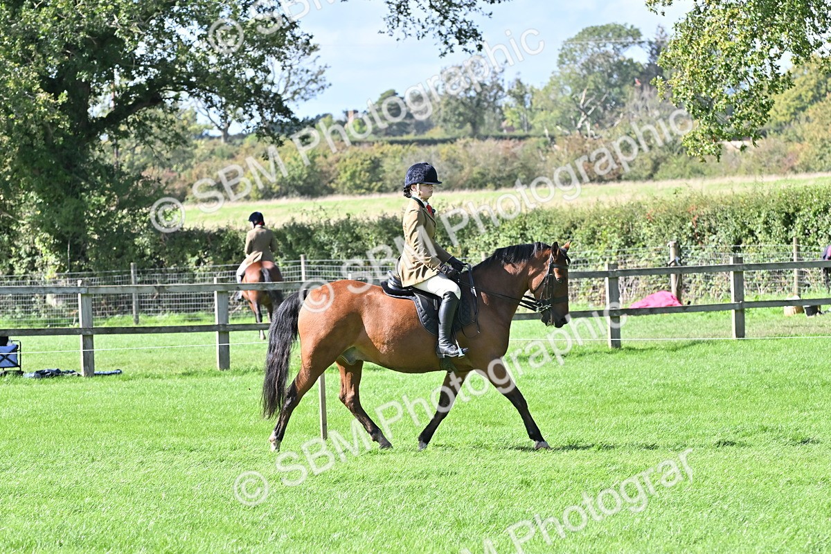 SBM_44578 - S13 - Pony Club Pony