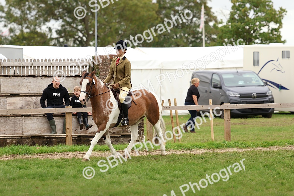 SBM_64552 - S58 - Coloured Pony Ridden