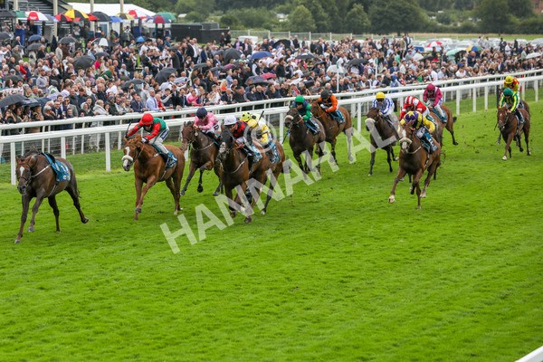 130724-Race 1-Blue For You-1935 - Race 1 2.00pm John Smith's Racing Handicap