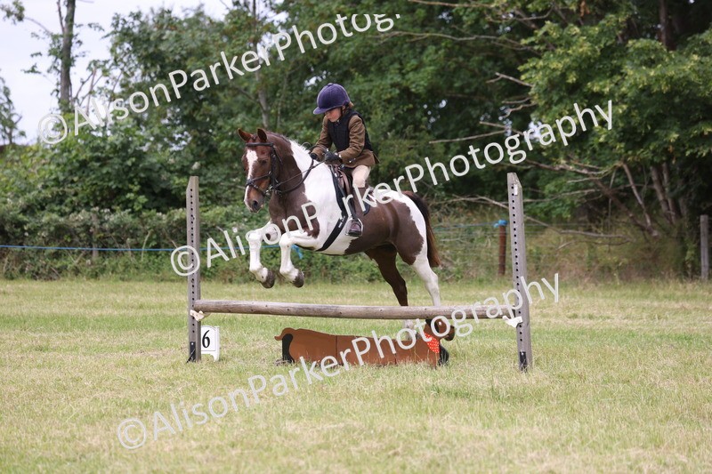 20260614-3049 - Class 22 - Open Working Hunter