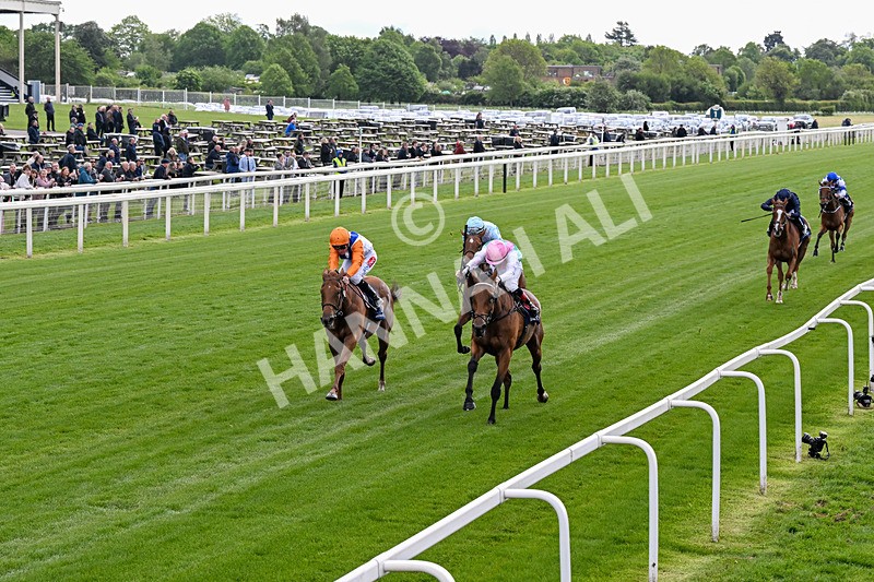 130526-Race 5-Legacy Link-0299 - Race 5 4.05pm Tattersalls Musidora Stakes
