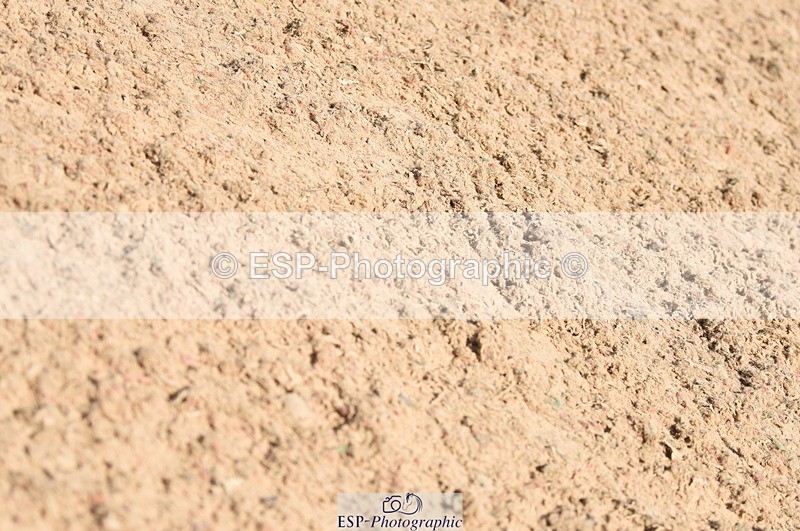 230906A-123842-00272 - Newcomers & 1.10m Open