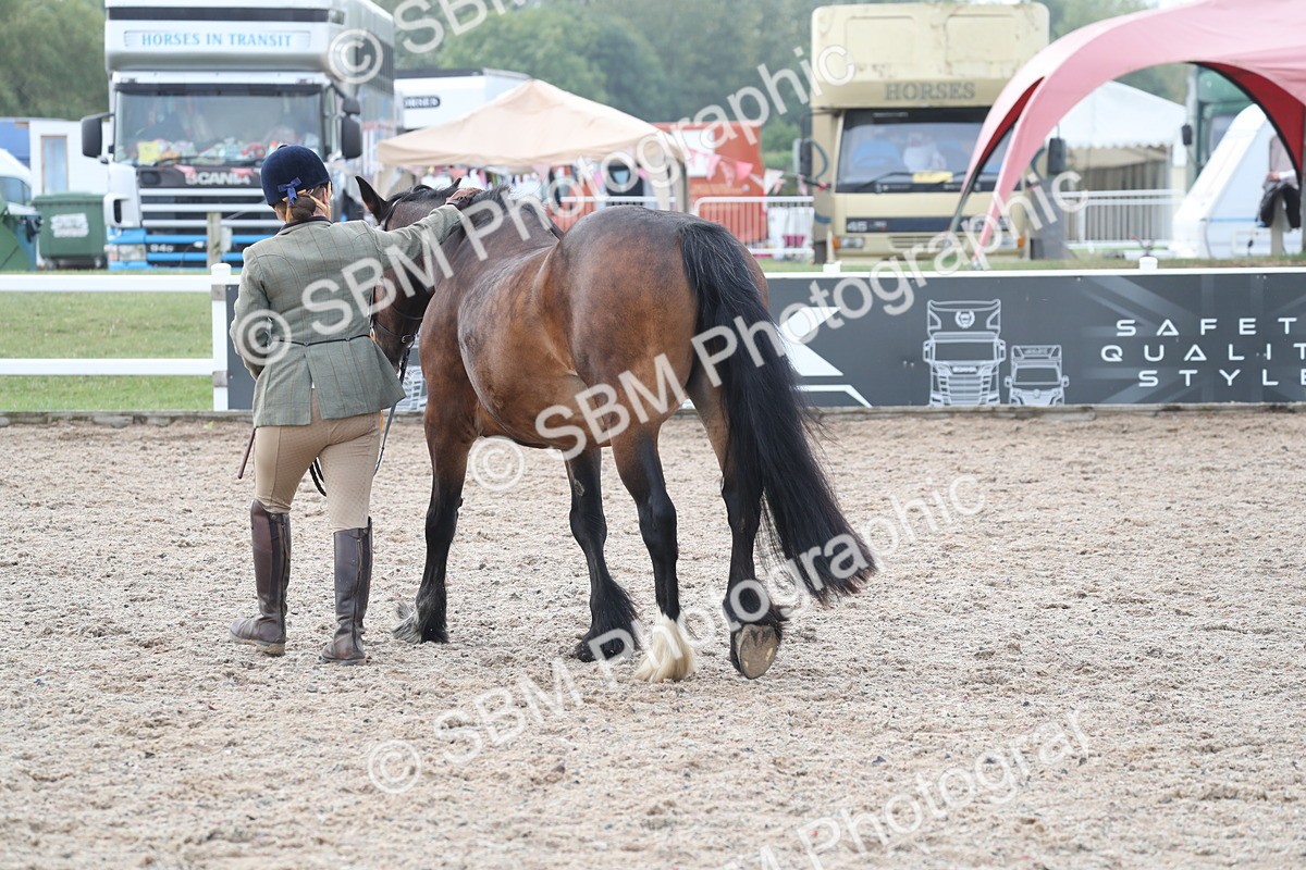 SBM_22618 - Class 604 - 2025 Area - IH Diamond