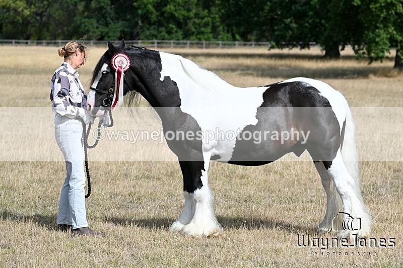 WJ7_9768 - Kellie and Nancy at Swallowfield 31-08-26