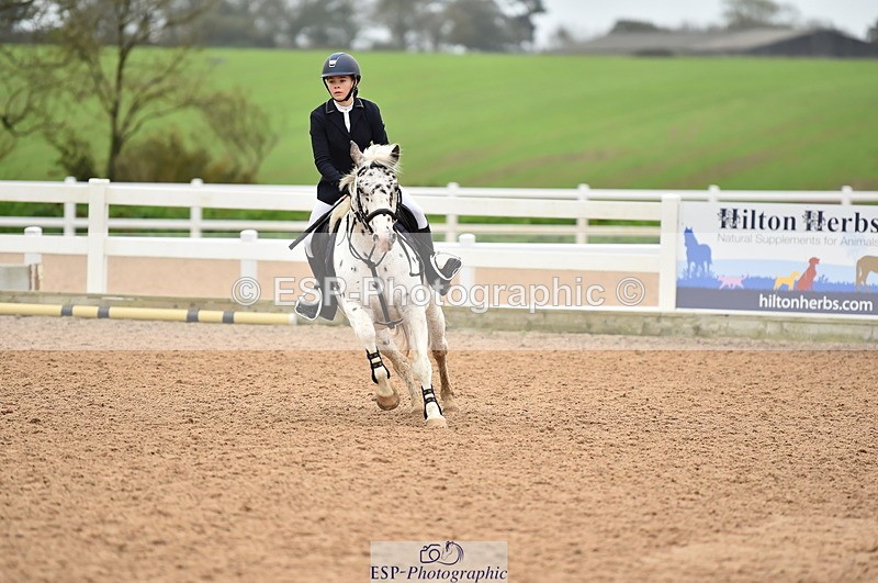 231028A-131436-01635 - Cls 4 Newcomers & 1m Open