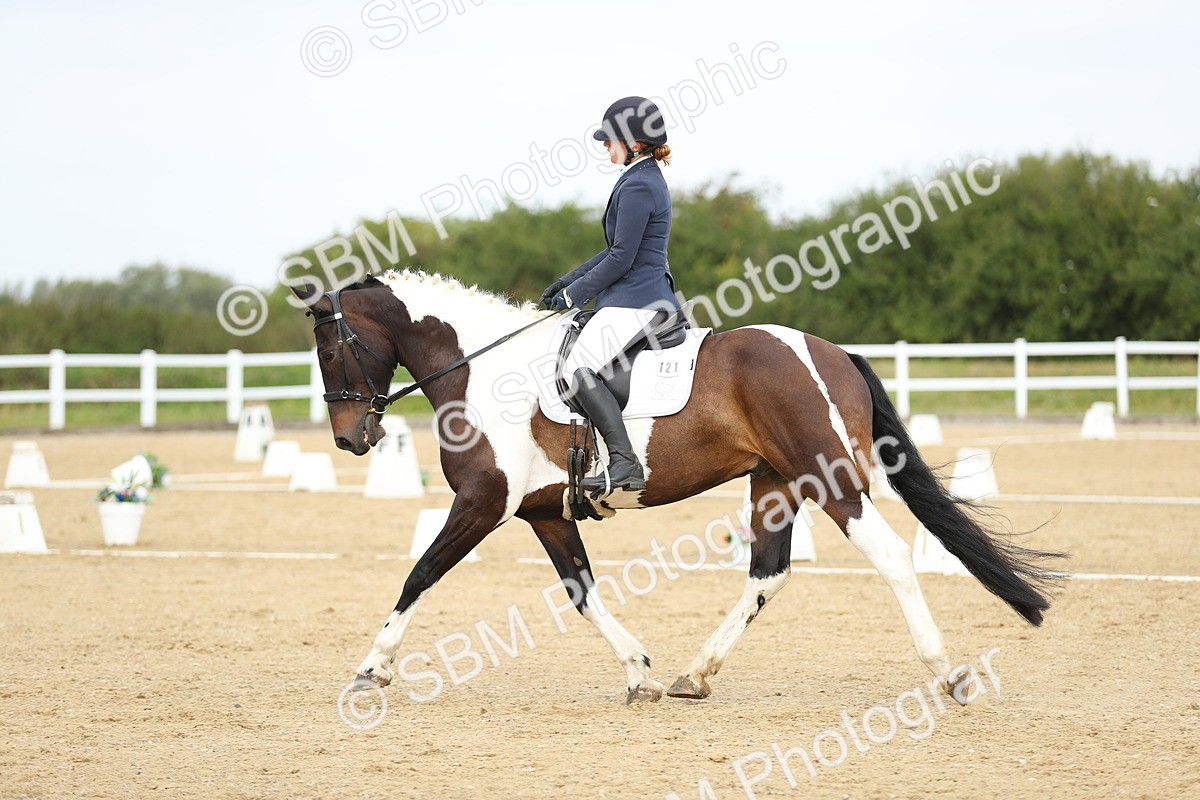 SBM_016384 - Class 13 - Novice 23 - 11.25-12.35