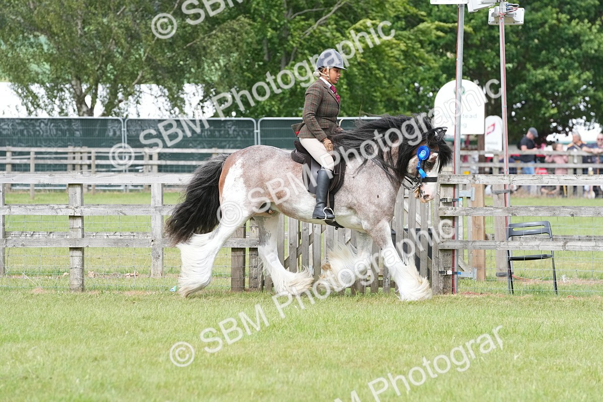 SBM_17634 - Class 107-108 - LIHS BSPS Performance Coloured Horse Pony