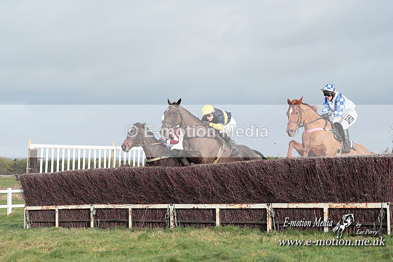 PtP 311223 573 - Larkhill Racing Club Point-to-Point 31/12/23