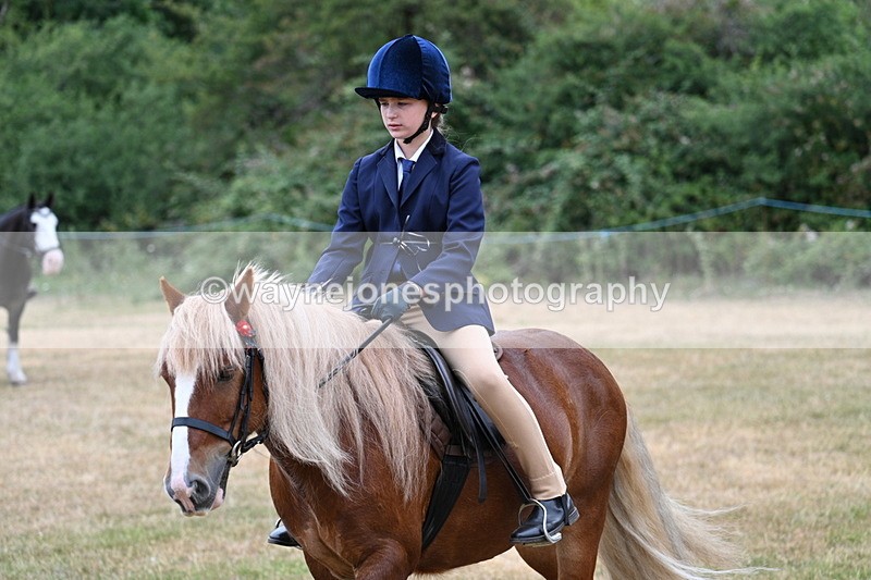 WJ7_0418 - Class 2 Best rider