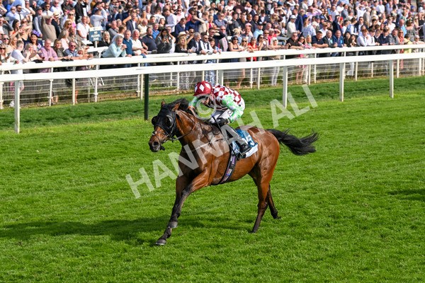 170524-Race 6-Riot-8523 - Race 6 4.45pm Yorkshire Equine Practice Handicap