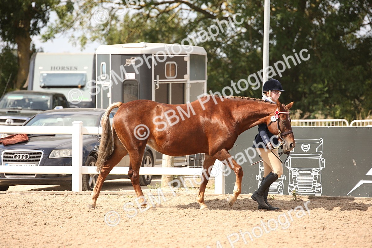 SBM_03745 - Class 19 Judge's Favourite