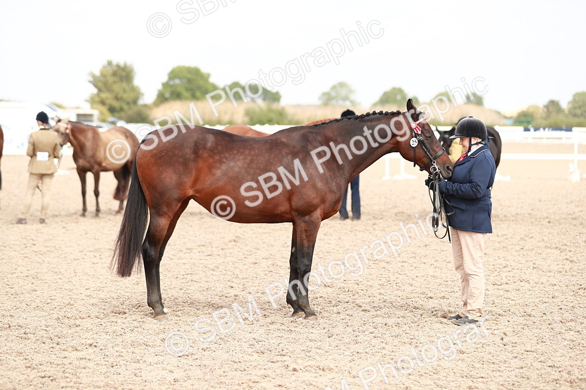 SBM_13267 - Class 208 IH Veteran Horse