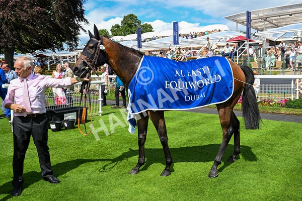 280625-Race 2-Quinault-0192 - Race 2 2.25pm Al Basti Equiworld Dubai Criterion Stakes