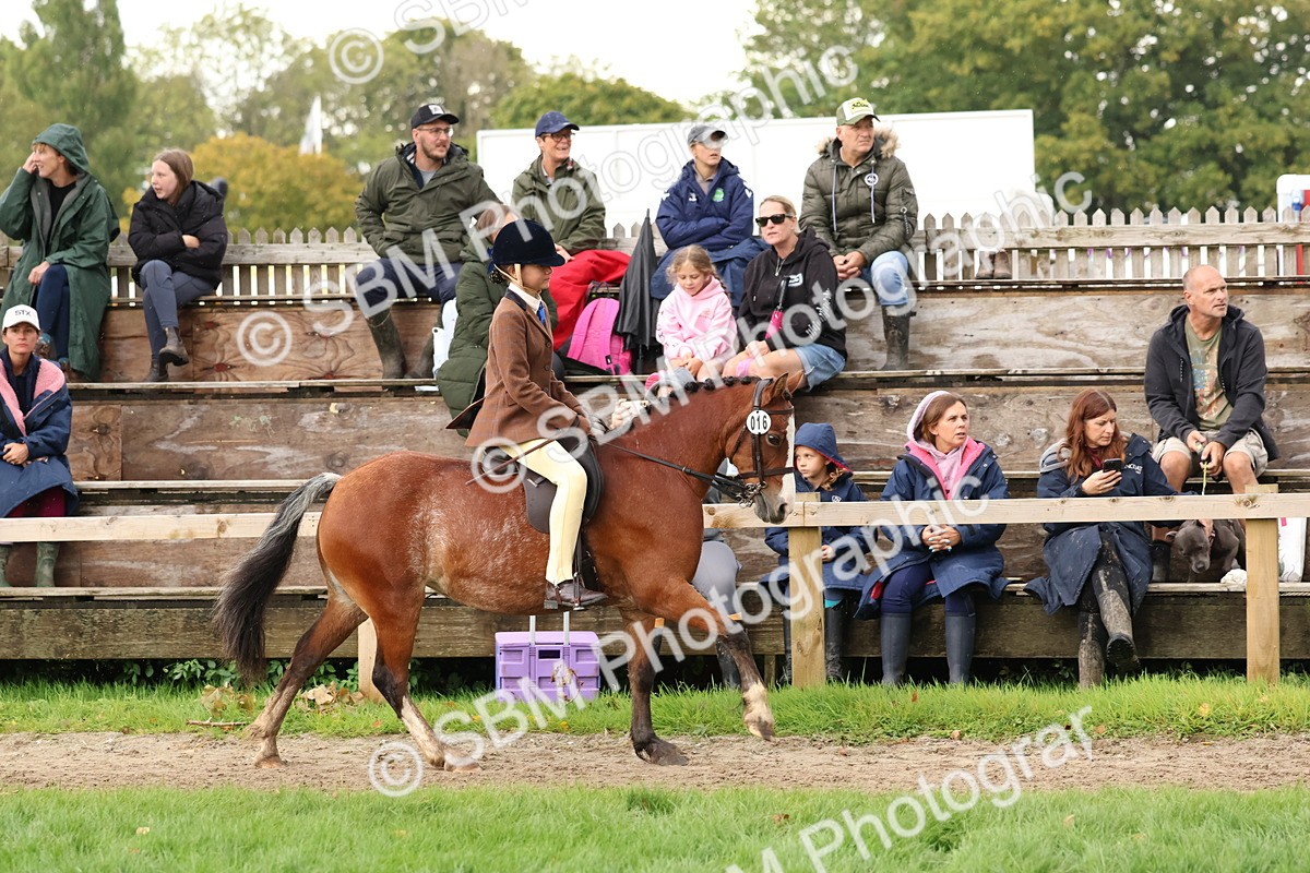 SBM_44981 - S27 - Young Veteran Ridden