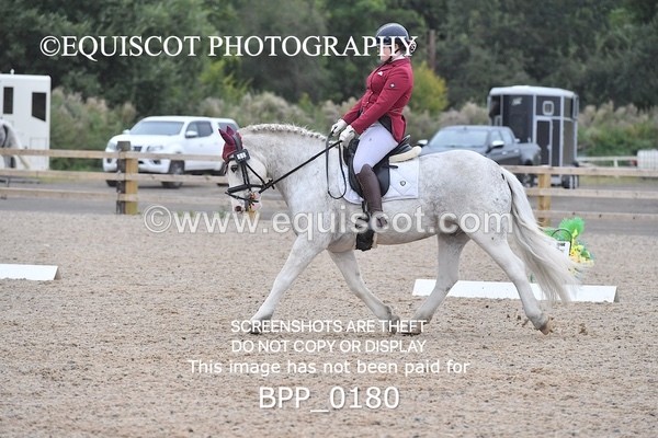 BPP_0180 - NOVICE 4 & 6