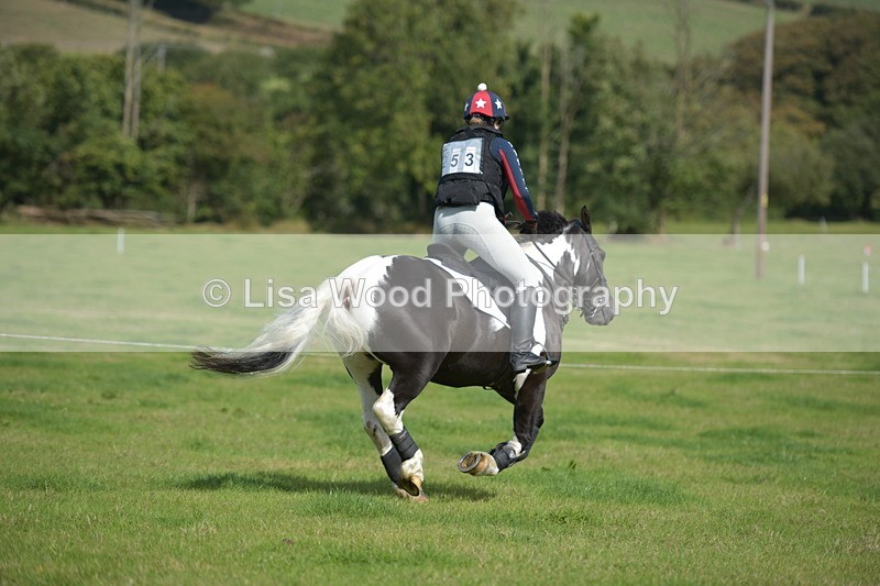 RAY_8669 - Class 2: Trekenning Open: Wall