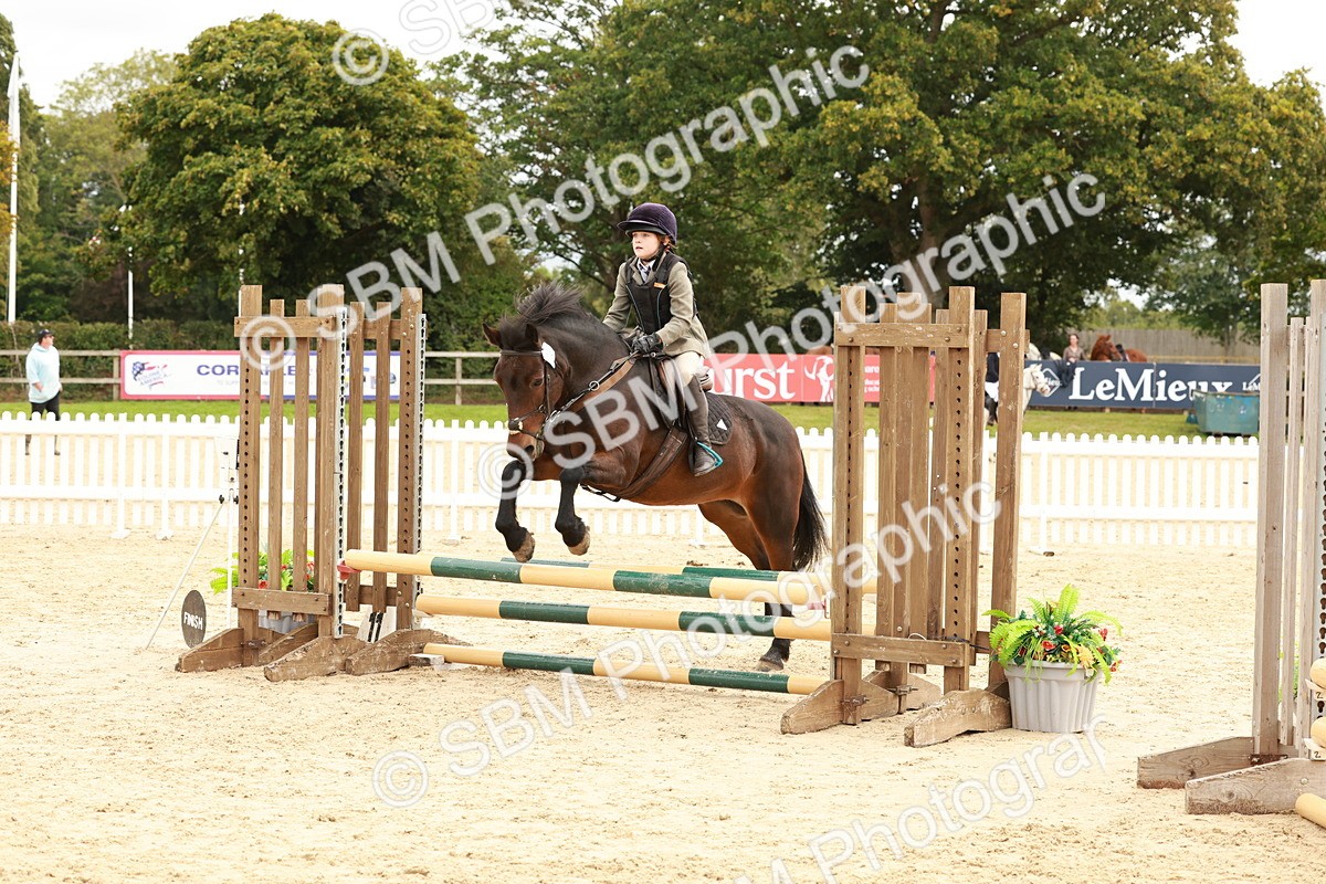 SBM_63650 - J12 - Junior Pony 55cm Championship