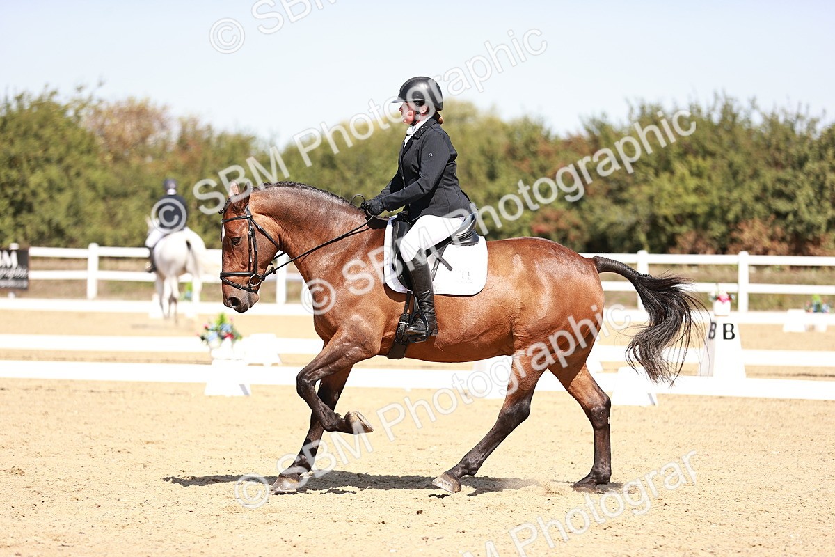 SBM_004905 - Class 12 - Novice 5 - 12.02-12.44