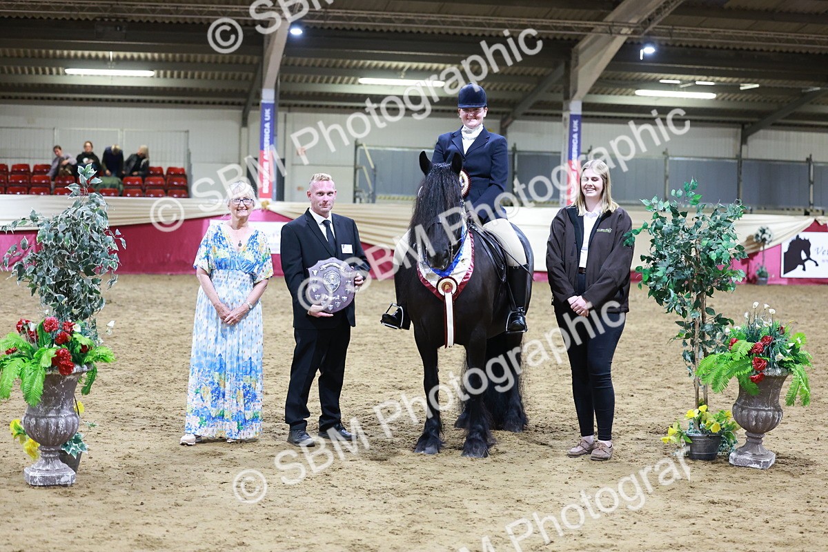 SBM_20906 - Class M - Equitation Champ