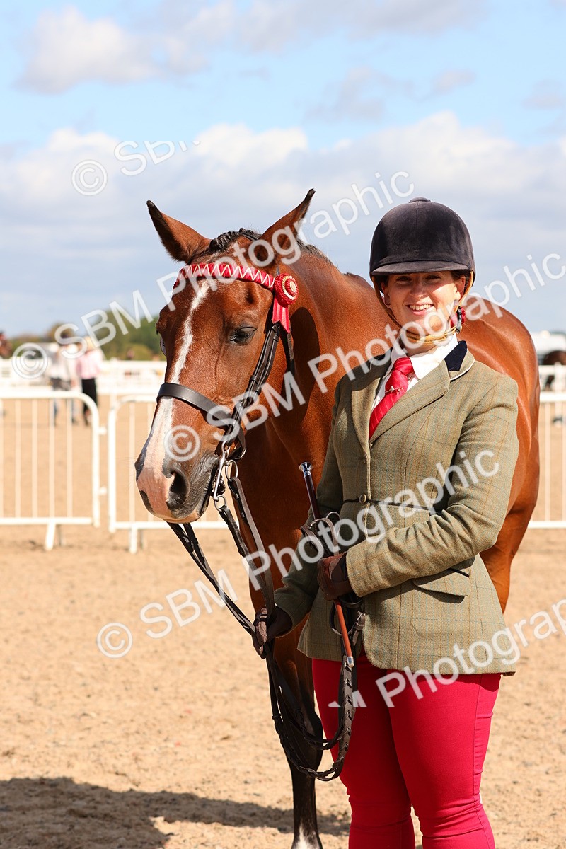 SBM_11715 - Class 208 - IH Veteran Horse