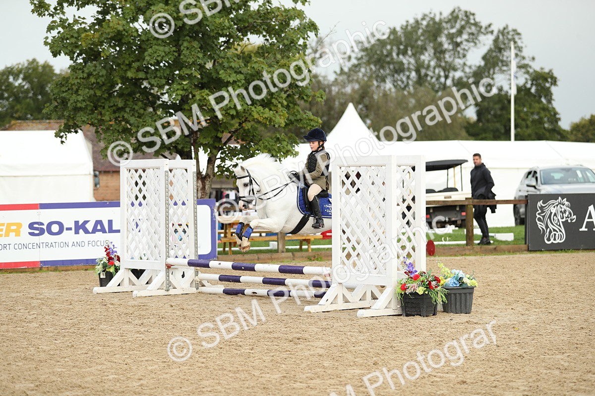 SBM_34186 - J60 Clear Round 50cm