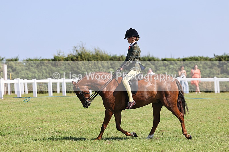 IMG_2010 - Class 34: Show Hunter Pony 153cm and under