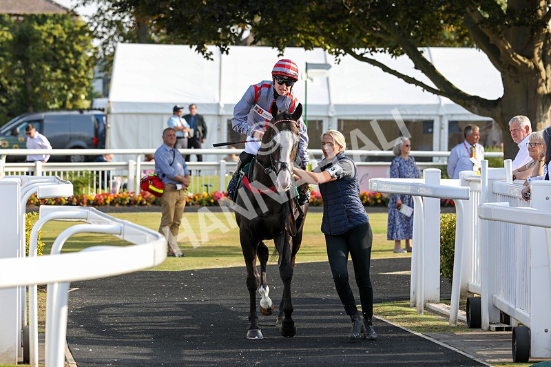 300824-Race 8-Finn Ironside-0719 - Race 8