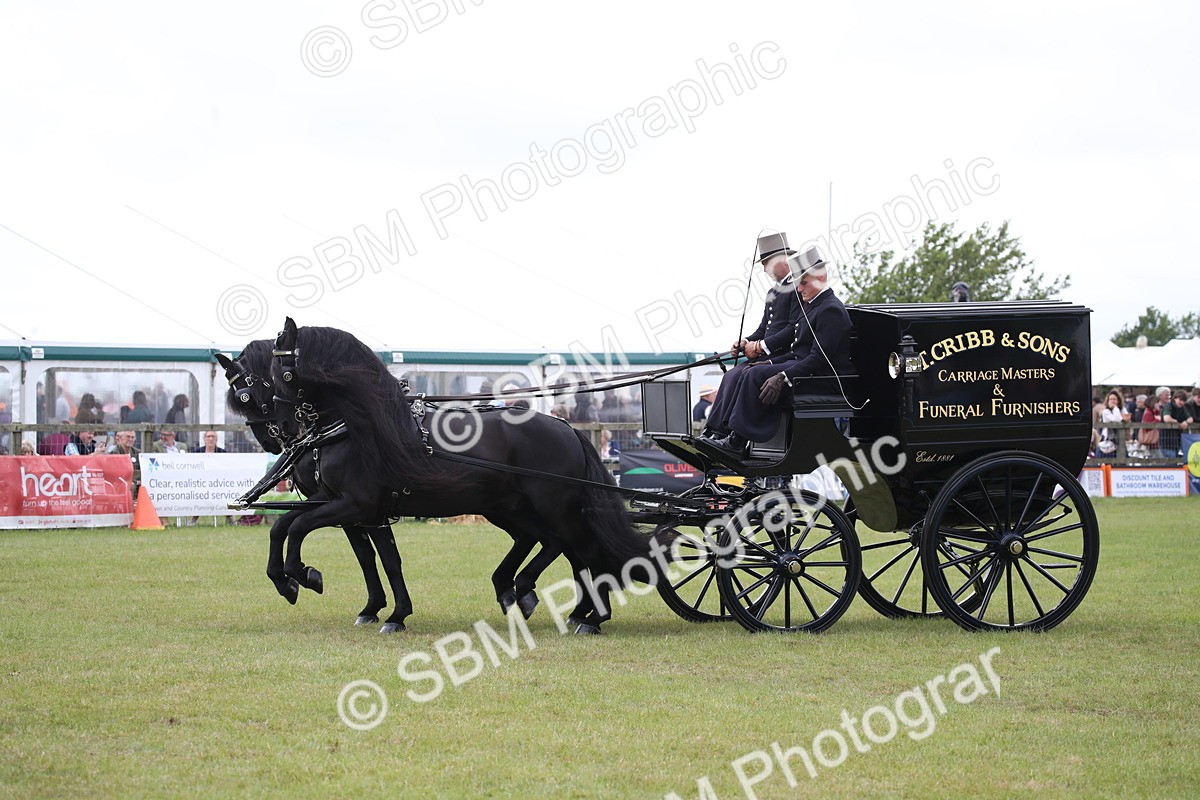 SBM_07034 - Class 16 - Light Trade