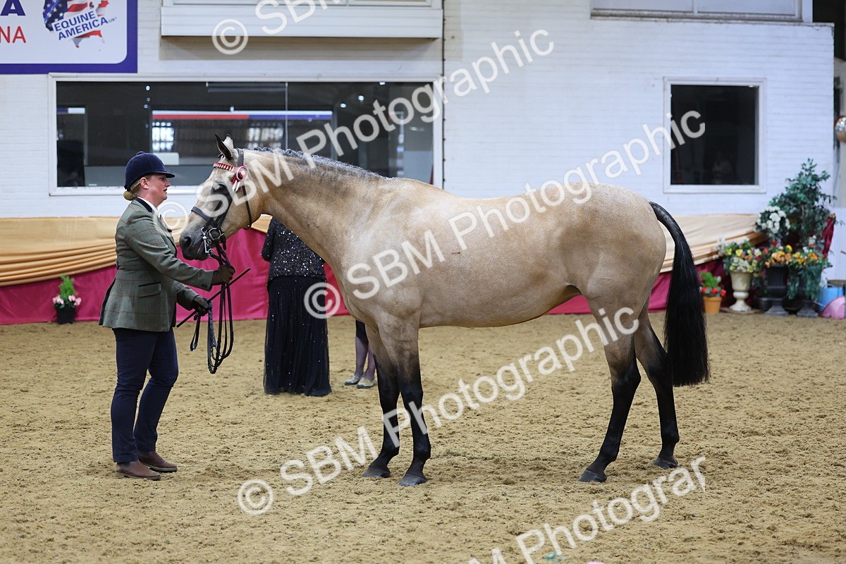 SBM_20886 - Class 902 - Supreme Final IH Veteran