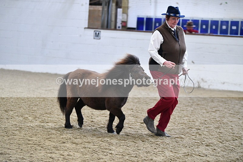 WJ5_5471 - Class 4 In hand M&M - small breeds