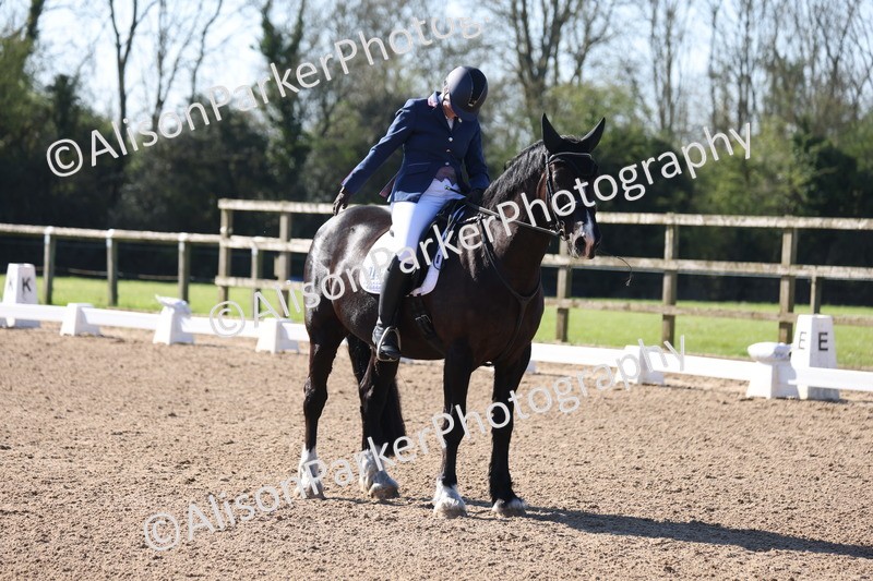 20260318-0135 - Class 2 - Intro 4