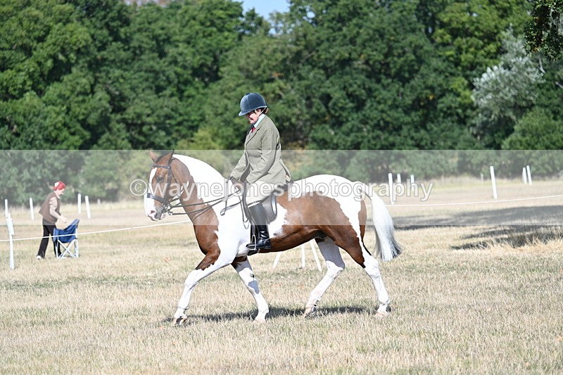 WJ7_2847 - Class 8 Ridden Tack & Turnout