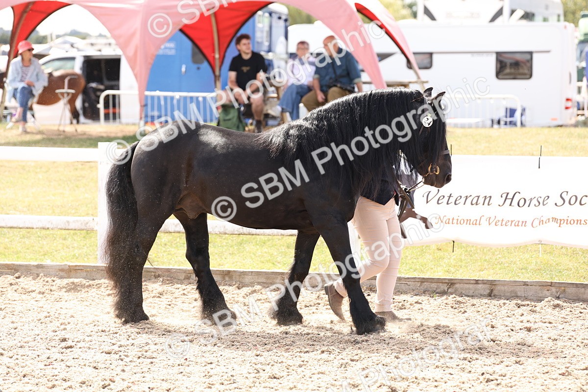 SBM_15042 - Class 209 - IH Veteran Pony