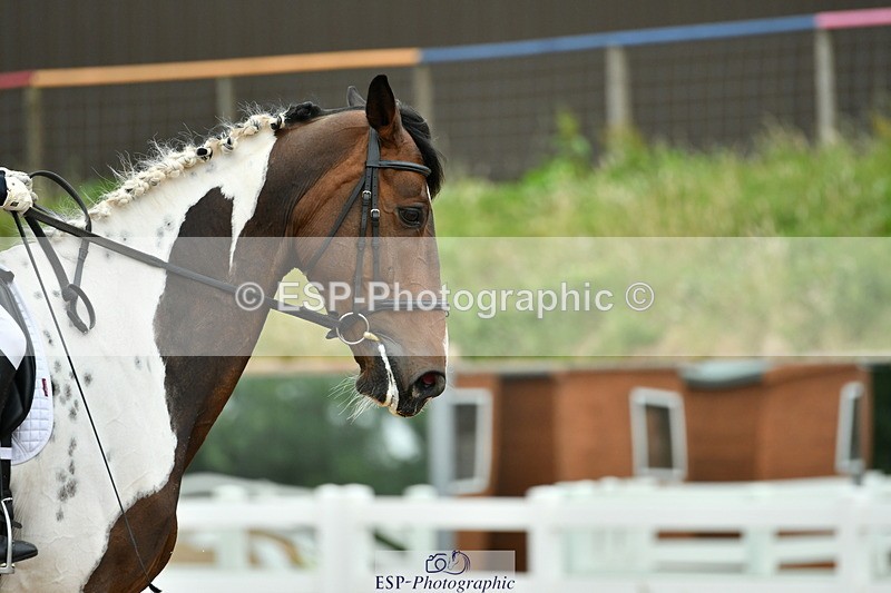 230630A-110532-00640 - Cls 9+12 Music Elementary + Medium